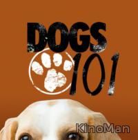 Введение в собаковедение / Dogs 101 онлайн